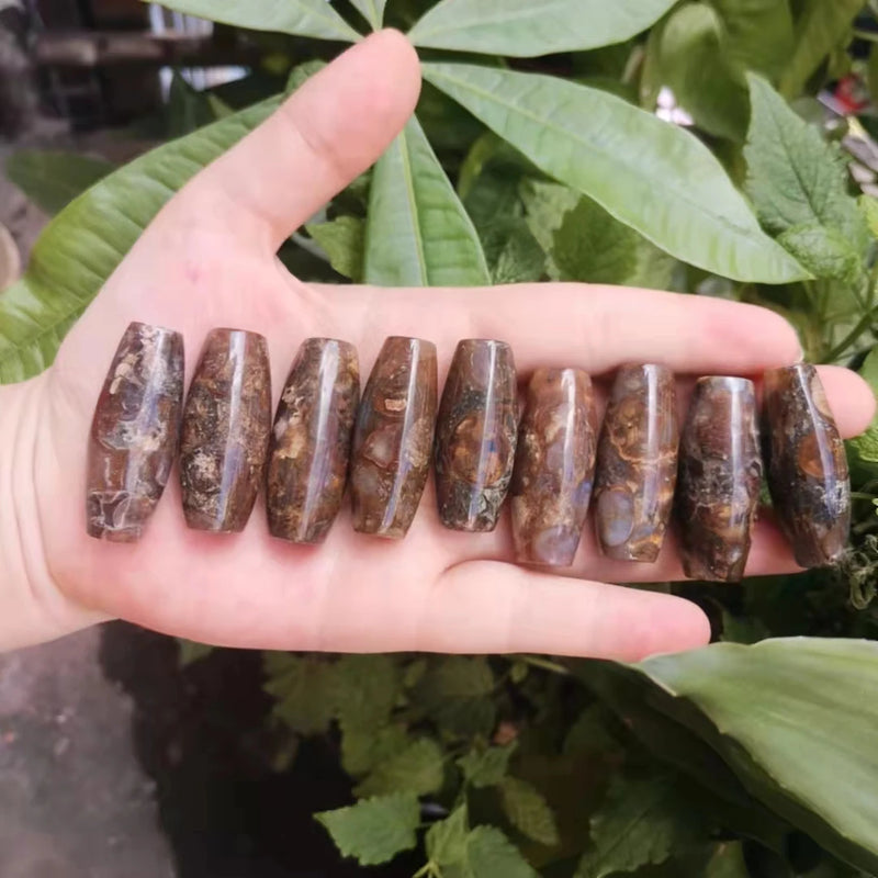 7pcs/lot French Snails Dzi Beads Rare Natural Accessories