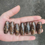 7pcs/lot French Snails Dzi Beads Rare Natural Accessories