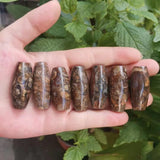 7pcs/lot French Snails Dzi Beads Rare Natural Accessories