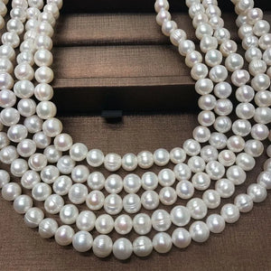 Natural Freshwater Pearl 925 Sterling Silver Choker Necklace