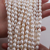 8-9mm Rice-Shaped Freshwater Pearl Beads Necklace Earrings Jewelry