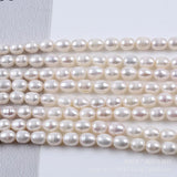 8-9mm Rice-Shaped Freshwater Pearl Beads Necklace Earrings Jewelry