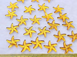 800pcs Starfish Hair Swirls Rhinestones Scrapbooking 20mm