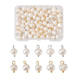 80Pcs Freshwater Pearl Charms Oval Golden & Platinum for Jewelry Making