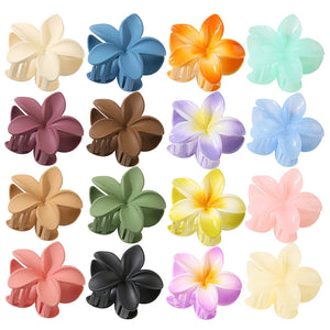 Large Gradient Frangipani Hair Clip