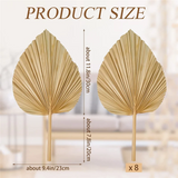 8PCS Dried Palm Leaves Decorations Trimmed Dried Palm Spear Palm Fans