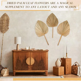 8PCS Dried Palm Leaves Decorations Trimmed Dried Palm Spear Palm Fans