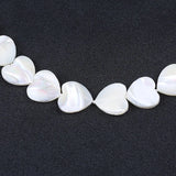 8mm Sea Shell Beads Necklace