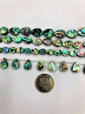 Abalone Shell Beads 15 inches For DIY Jewelry Making