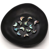 Moon Abalone Bead Charm DIY Bracelet Necklace Earrings Gift 5 Pack