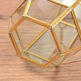 Irregular Glass Geometric Air Plants Terrarium Box Succulent Holder