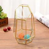 Irregular Glass Geometric Air Plants Terrarium Box Succulent Holder