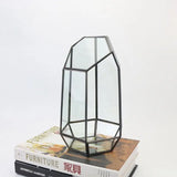 Irregular Glass Geometric Air Plants Terrarium Box Succulent Holder