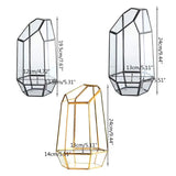 9.4in Glass Geometric Air Plants Terrarium Box