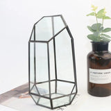 9.4in Glass Geometric Air Plants Terrarium Box