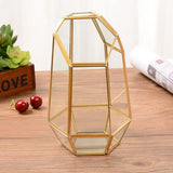 9.4in Glass Geometric Air Plants Terrarium Box