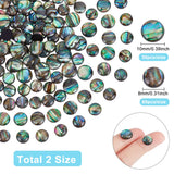 90pcs Abalone Shell Cabochons 8mm 10mm DIY Jewelry Making Spacers