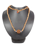 img_15604087