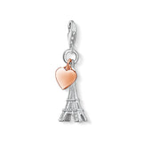 925 Silver Animal Pet Charms Beads for Bracelets