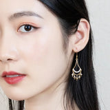 925 Silver Plated Tassel Star Drop Earrings Zircon Dangle Earrings