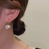 925 Silver Zircon Drop Earrings High Sense of Versatile Elegant Jewelry