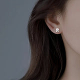 925 Silver Clover Zircon Stud Earrings for Women