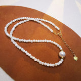 925 Sliver Shell Bead Choker Freshwater Pearls