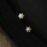925 Silver 14K Star Zircon Stud Earrings Piercing Jewelry