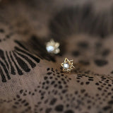 925 Silver 14K Star Zircon Stud Earrings Piercing Jewelry