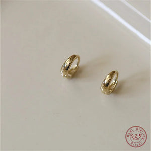 925 Silver Plated Geometric Earrings for Women