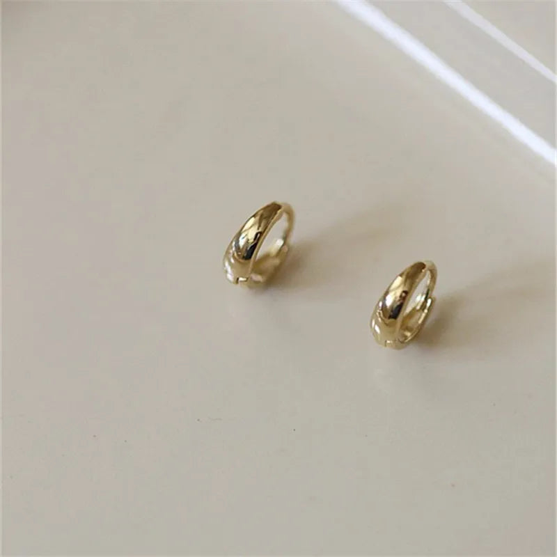 925 Silver Plated Geometric Earrings for Women