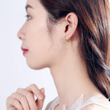925 Silver CZ Fish Drop Earrings for Women