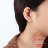 925 Silver Cat Stud Earrings for Women Wedding Jewelry