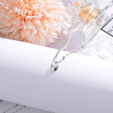 925 Silver Choker Collar Short Necklaces Round Clavicle Chain