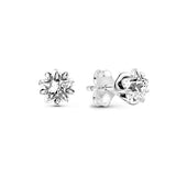 925 Silver 12 Zodiac Earrings Heart Studs for Women Men