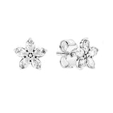925 Silver 12 Zodiac Earrings Heart Studs for Women Men