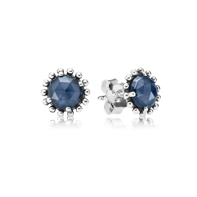 925 Silver 12 Zodiac Earrings Heart Studs for Women Men