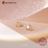 925 Silver Dolphin Opal Earring For Women Gift