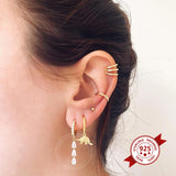 925 Silver Water Droplets Geometric Zircon Earrings