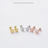 925 Silver Colored Zircon Star Smiley Screw Stud Earrings