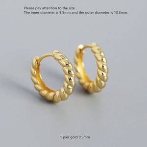 925 Silver Geometric Winding Earring Leaf Pattern