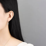 925 Silver Earring Zircon Hollow Eyes Drop Earrings Sweet Style