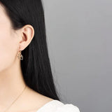 925 Silver Earring Zircon Hollow Eyes Drop Earrings Sweet Style