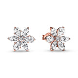 925 Silver Circle & Infinity Stud Earrings Square Sparkle Pandor Fine Jewelry