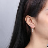 925 Silver Zircon Water Drop Earrings for Women