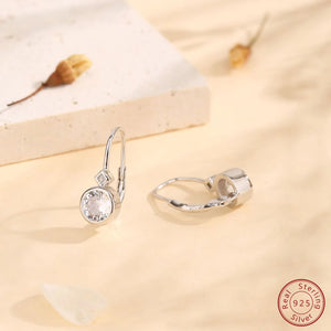 925 Silver Round Zircon Earrings Women's Jewelry Gift