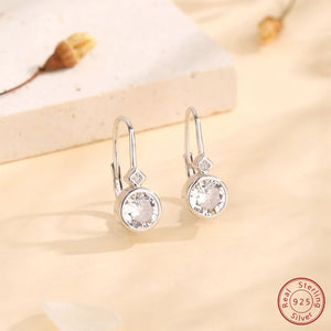925 Silver Round Zircon Earrings Women's Jewelry Gift