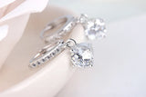 925 Silver Earrings CZ Drop Earrings For Women