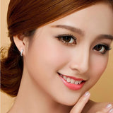 925 Silver Single Row Zircon Earrings
