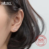 925 Silver Zodiac Earrings CZ Studs 12 Constellation Jewelry Gift